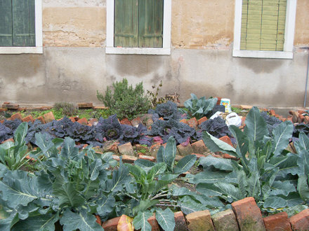 Venice vegetables gardens - Bertazzoni